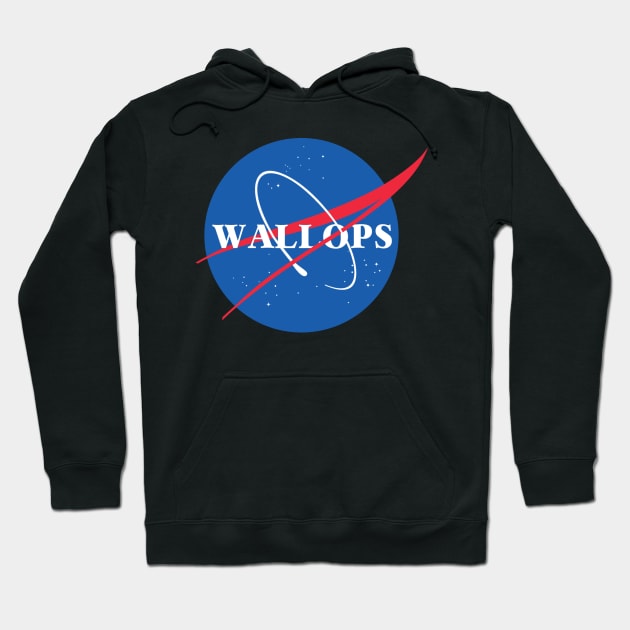 Wallops Flight Facility - NASA Meatball Hoodie by ally1021